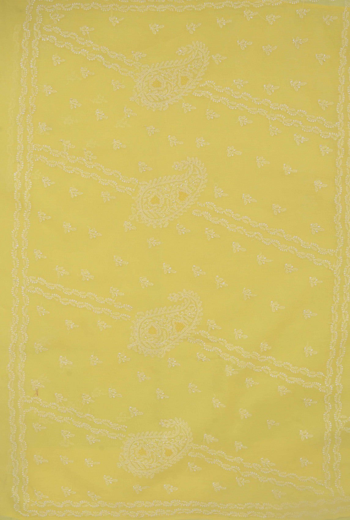 Ada Hand Embroidered Yellow Cotton Lucknow Chikankari Saree with Blouse A614074